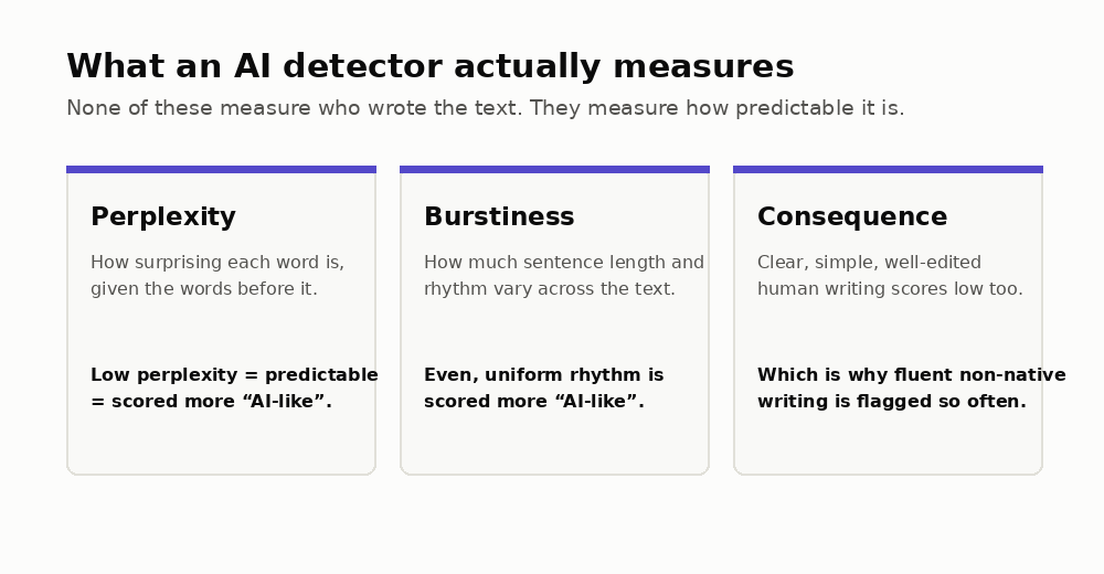 Three cards explaining that AI detectors measure perplexity (how surprising each word is) and burstiness (how much sentence rhythm varies), and that clear, well-edited human writing scores low on both.